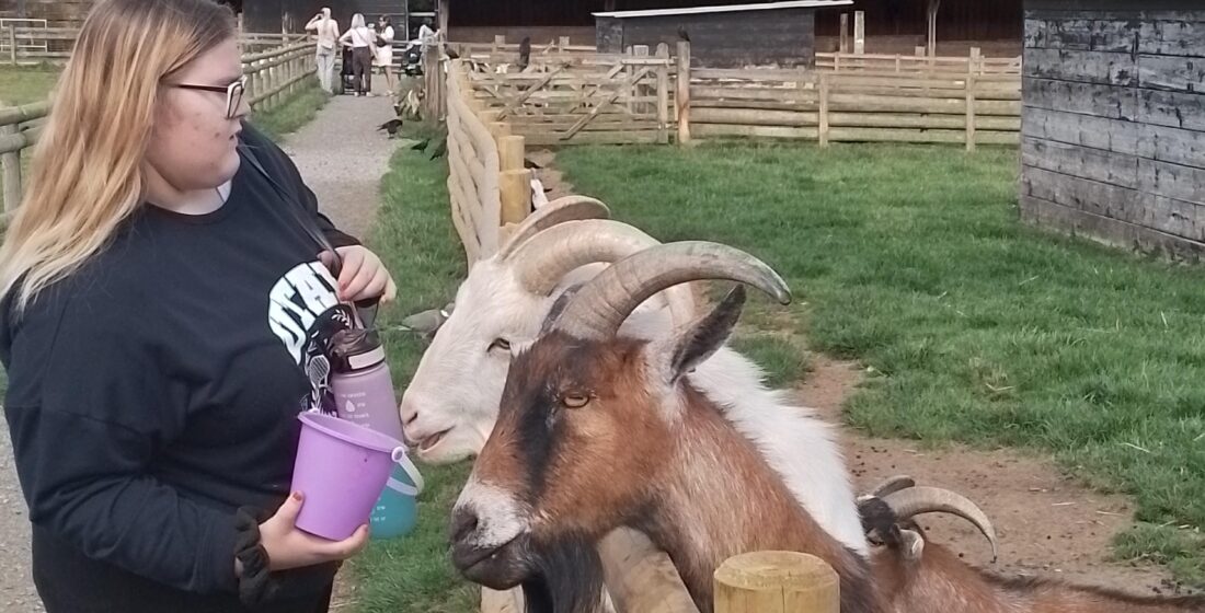 Learner feeding friendly goats during ASDAN Animal Care Trip A learner enjoys close interaction with goats at Christmas Tree Farm, part of the ASDAN Animal Care curriculum. These experiences foster empathy and understanding of animal behaviour among learners.