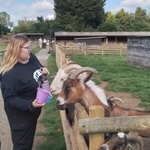 Learner feeding friendly goats during ASDAN Animal Care Trip A learner enjoys close interaction with goats at Christmas Tree Farm, part of the ASDAN Animal Care curriculum. These experiences foster empathy and understanding of animal behaviour among learners.