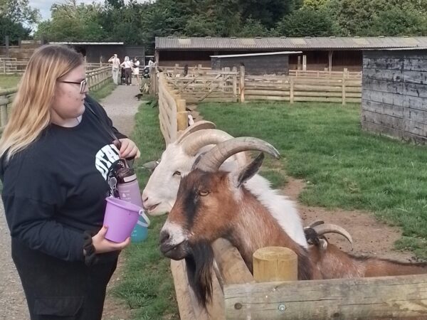 Learner feeding friendly goats during ASDAN Animal Care Trip A learner enjoys close interaction with goats at Christmas Tree Farm, part of the ASDAN Animal Care curriculum. These experiences foster empathy and understanding of animal behaviour among learners.